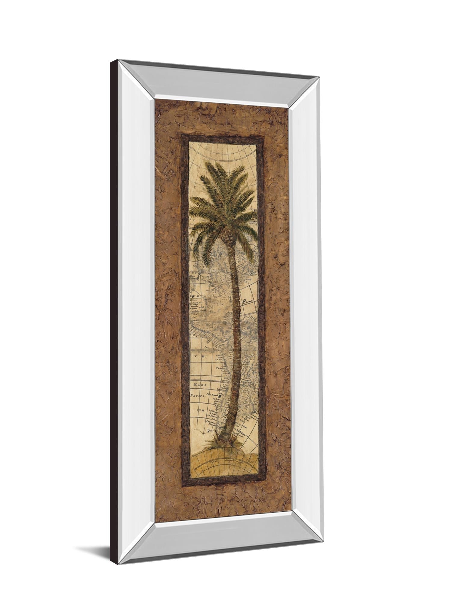 Mirrored Frame Global View Ii By Charlene Olson 18X42 Mirror Frame Print