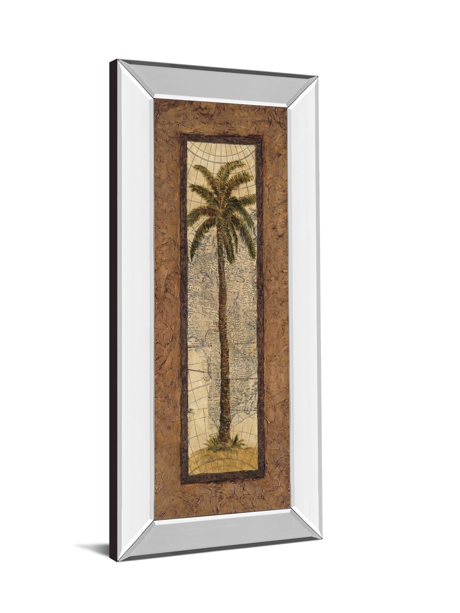 Mirrored Frame Global View Ii By Charlene Olson 18X42 Mirror Frame Print