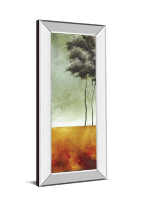 Mirrored Frame Promotional Line 18X42 18X42 Mirror Frame Print