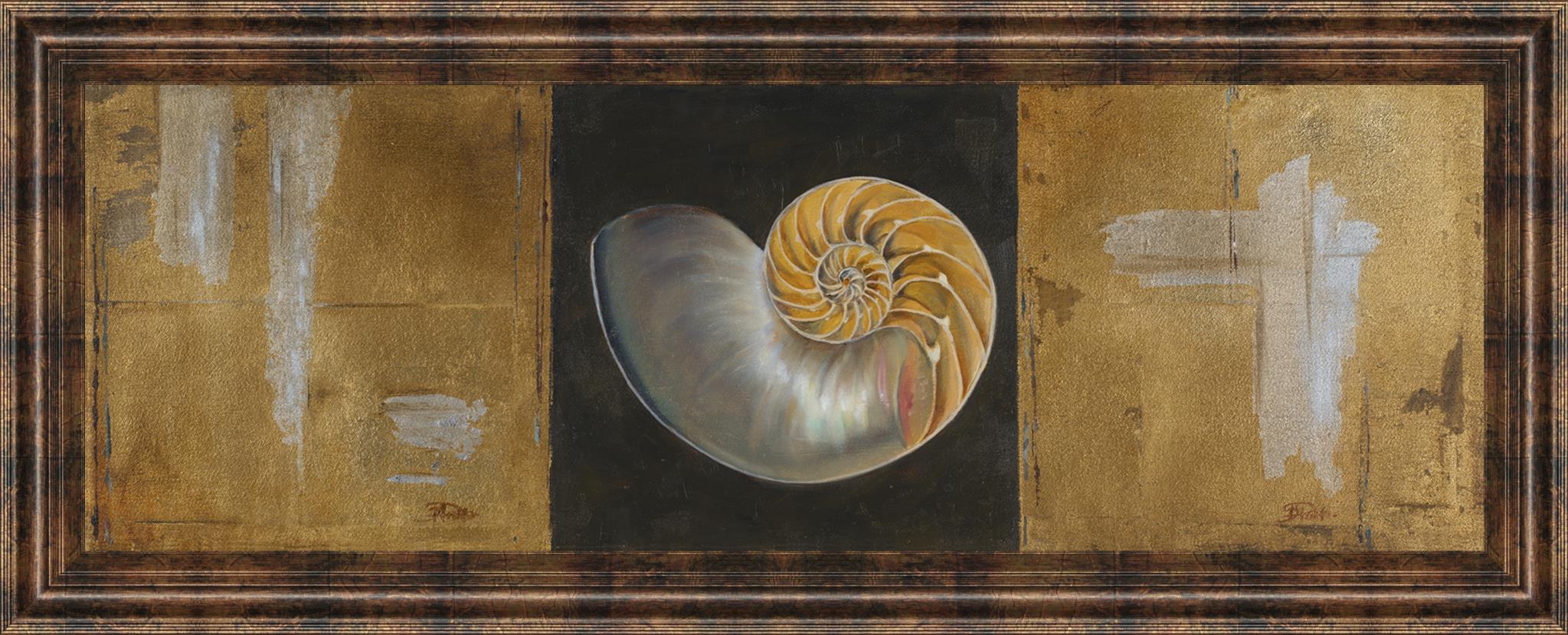 Seashells Ii By Patricia Pinto 18X42 Framed Print