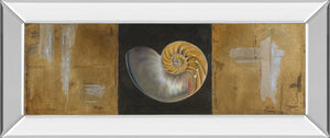 Mirrored Frame Seashells Ii By Patricia Pinto 18X42 Mirror Frame Print