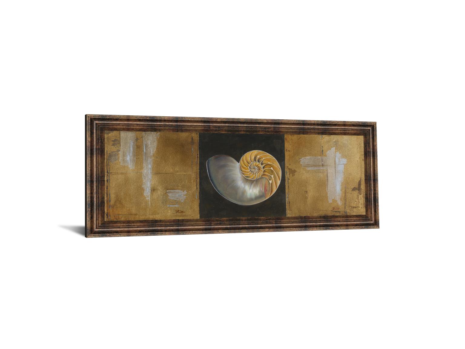 Seashells Ii By Patricia Pinto 18X42 Framed Print