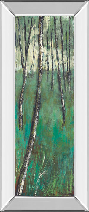 Mirrored Frame Nature Companion Ii By Solis 18X42 Mirror Frame Print