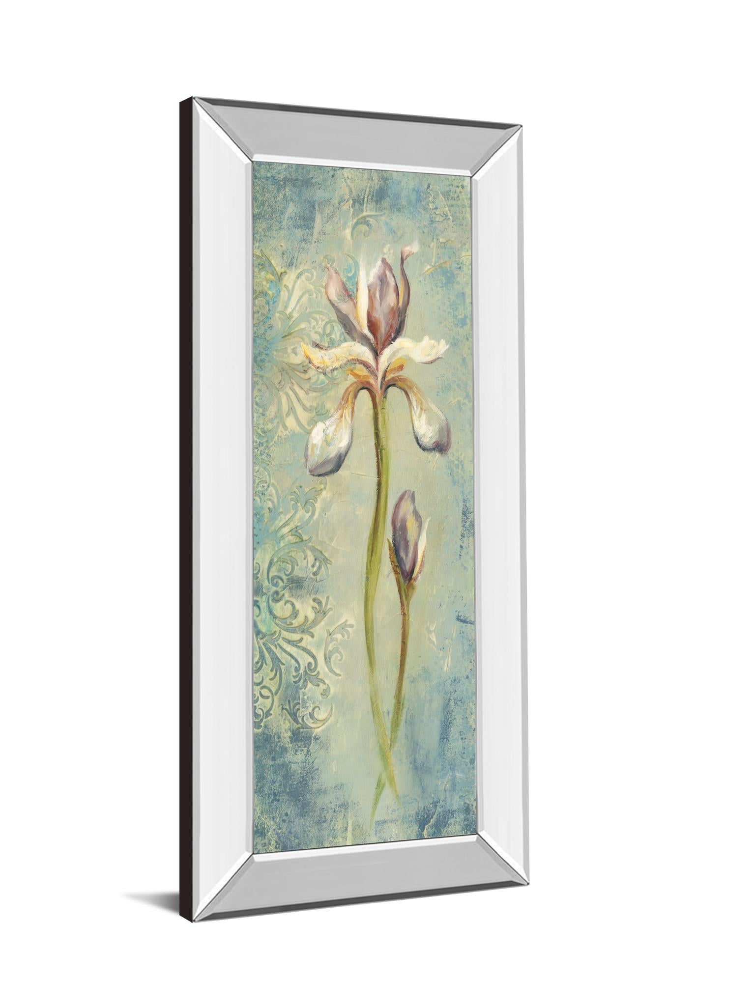 Mirrored Frame Floral Xi By Lee Hazel 18X42 Mirror Frame Print
