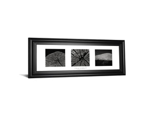 Eliments Of Nature 2 By Chris Simpson 18X42 Framed Print