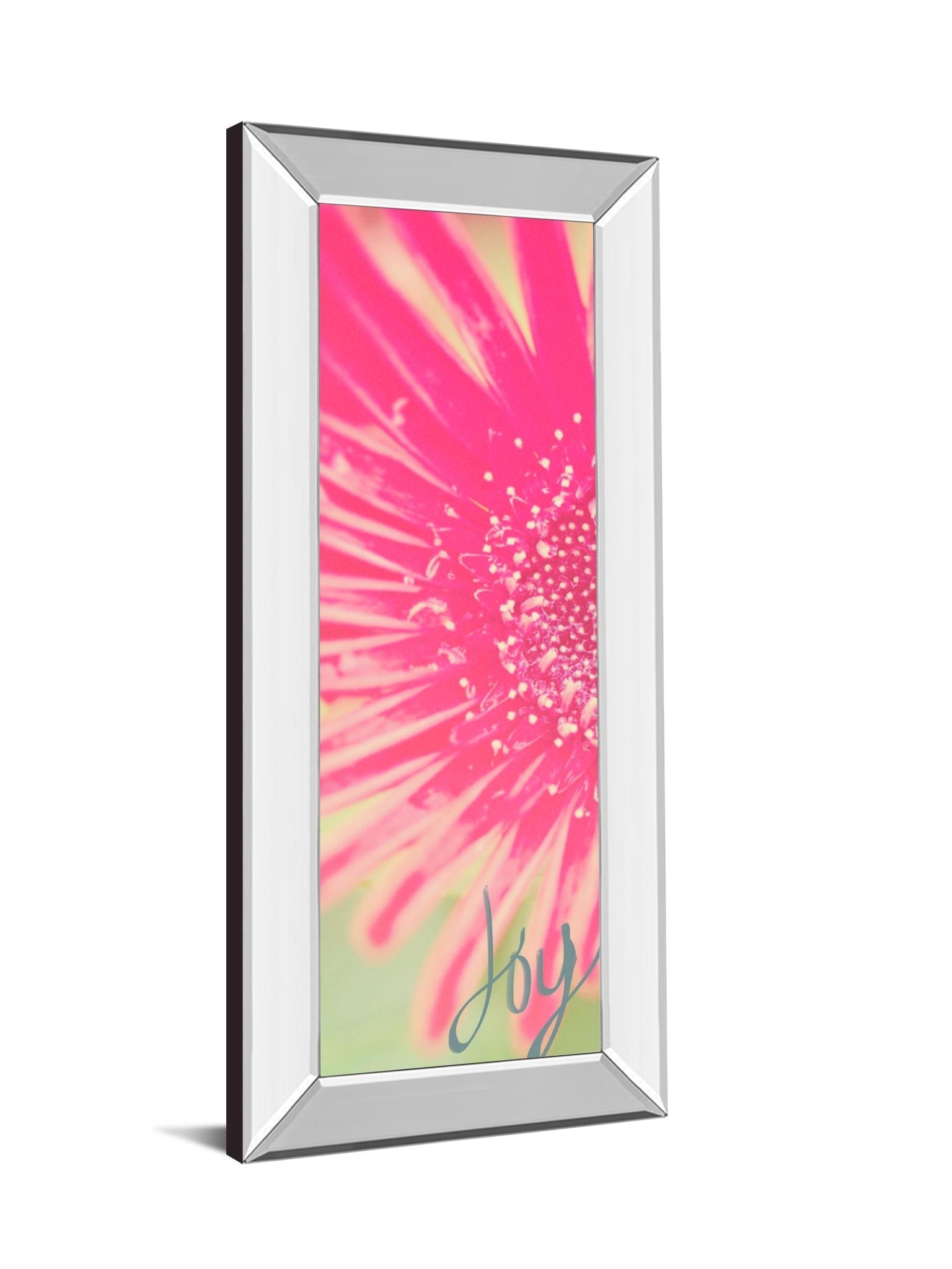 Mirrored Frame Joy Flower By Susan Bryant 18X42 Mirror Frame Print