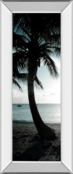 Mirrored Frame Cool Bimini Palms Ii By Susan Bryant 18X42 Mirror Frame Print