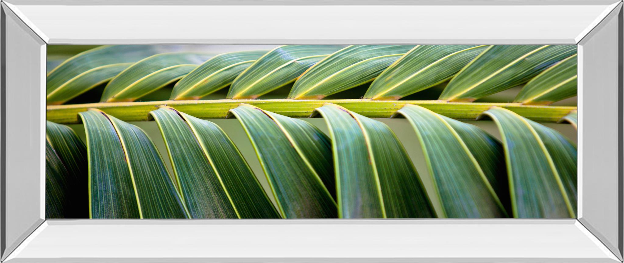 Mirrored Frame Palma I By Susan Bryant 18X42 Mirror Frame Print