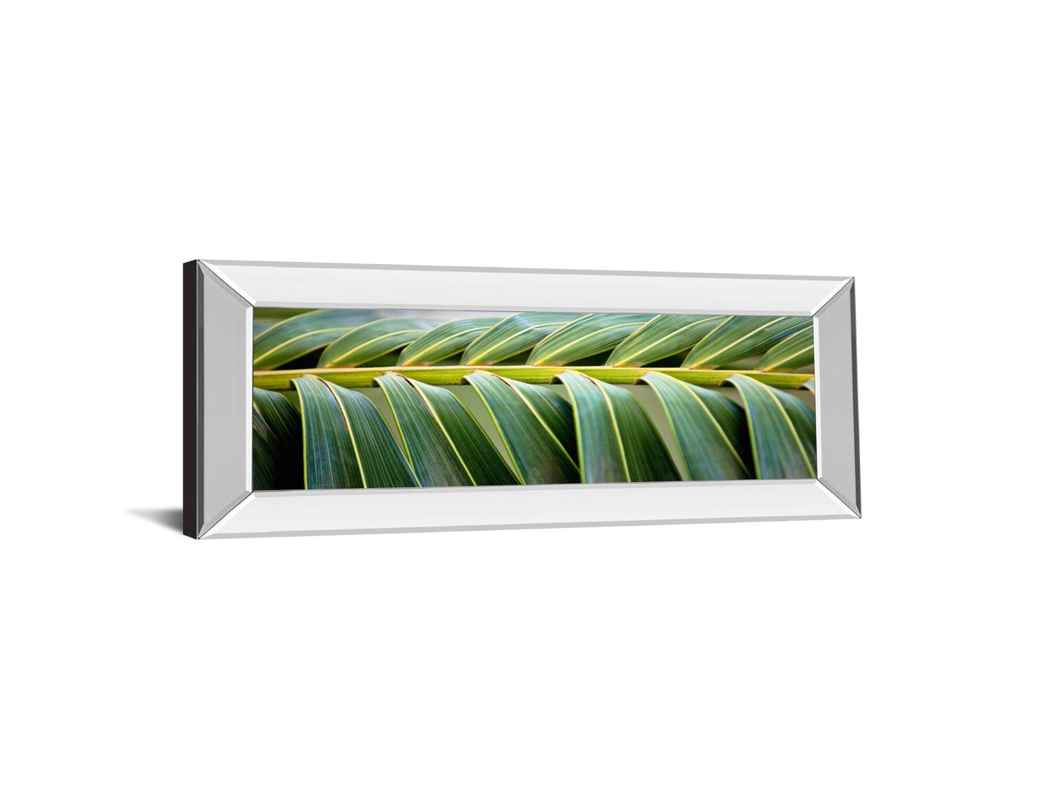 Mirrored Frame Palma I By Susan Bryant 18X42 Mirror Frame Print