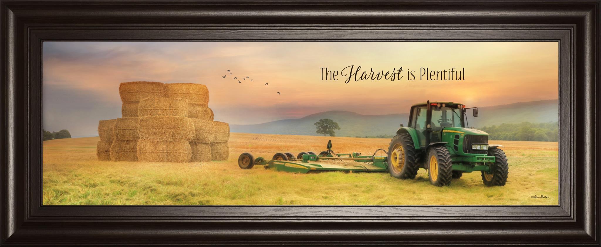 The Harvest Is Plentiful  By Lori Deiter 18X42 Framed Print