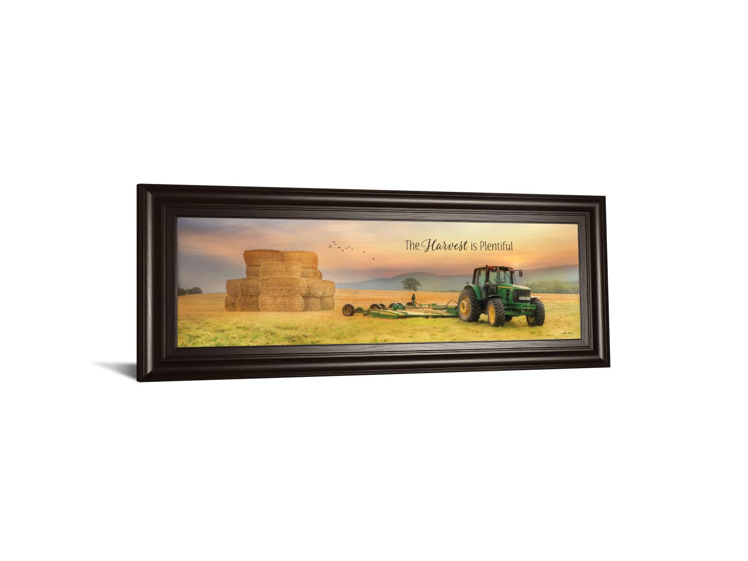 The Harvest Is Plentiful  By Lori Deiter 18X42 Framed Print