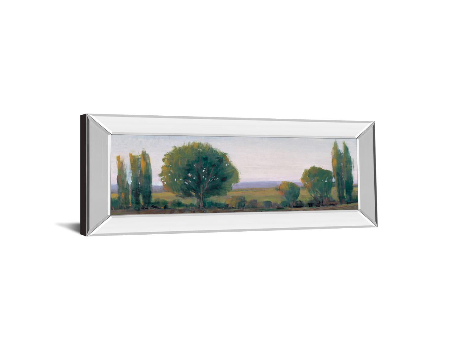 Mirrored Frame Panoramic Treeline I By Tim Otoole 18X42 Mirror Frame Print