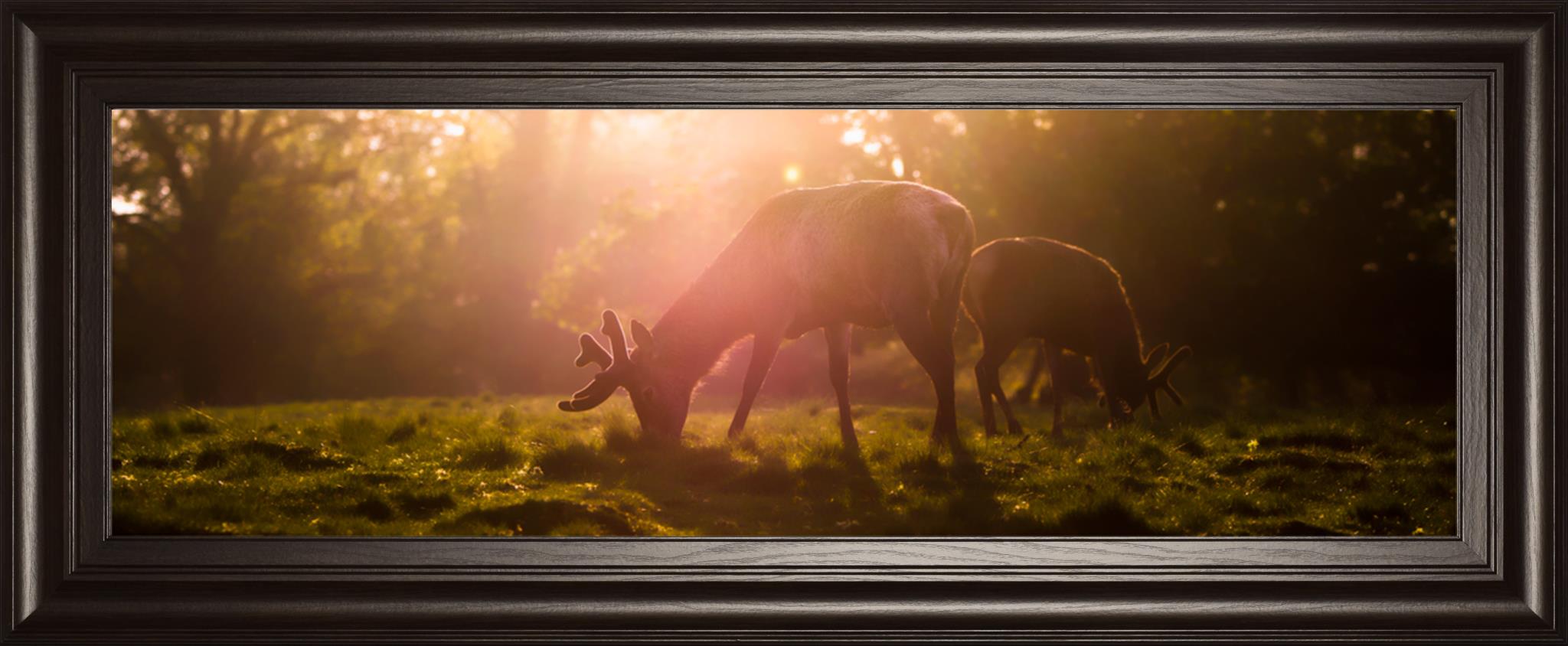 Morning Haze By Joe Reynolds 18X42 Framed Print