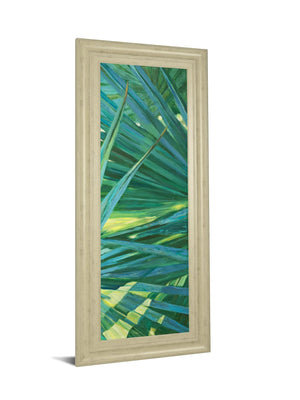 Fan Palm Ii By Suzanne Wilkins 18X42 Framed Print