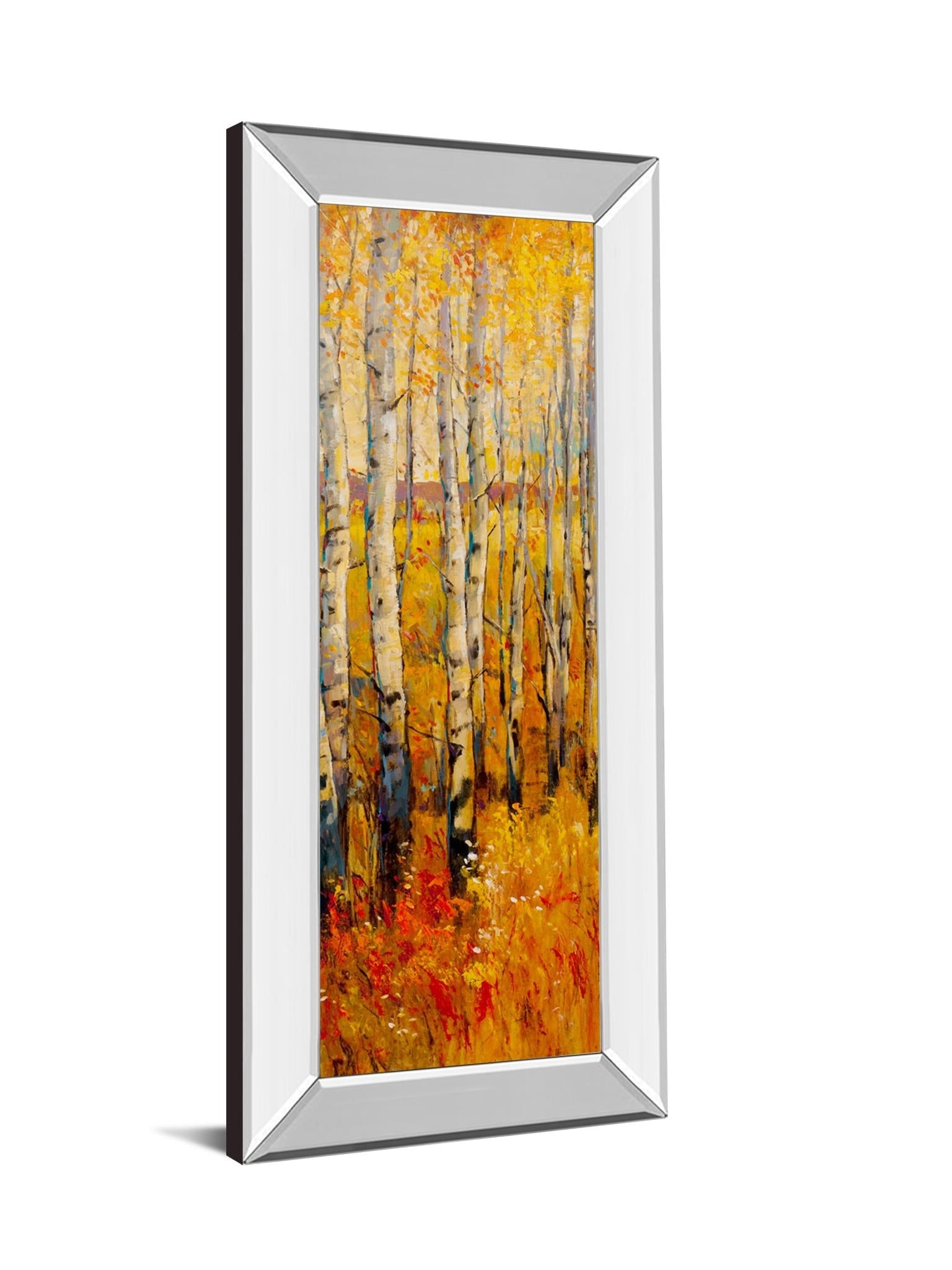 Mirrored Frame Vivid Birch Forest Ii By Tim Otoole 18X42 Mirror Frame Print