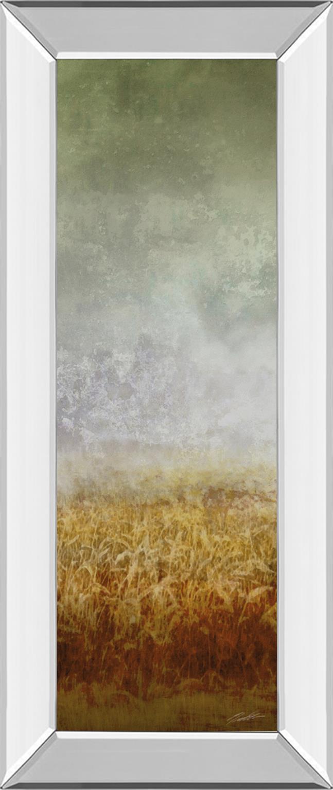 Mirrored Frame Lush Field I By John Butler 18X42 Mirror Frame Print