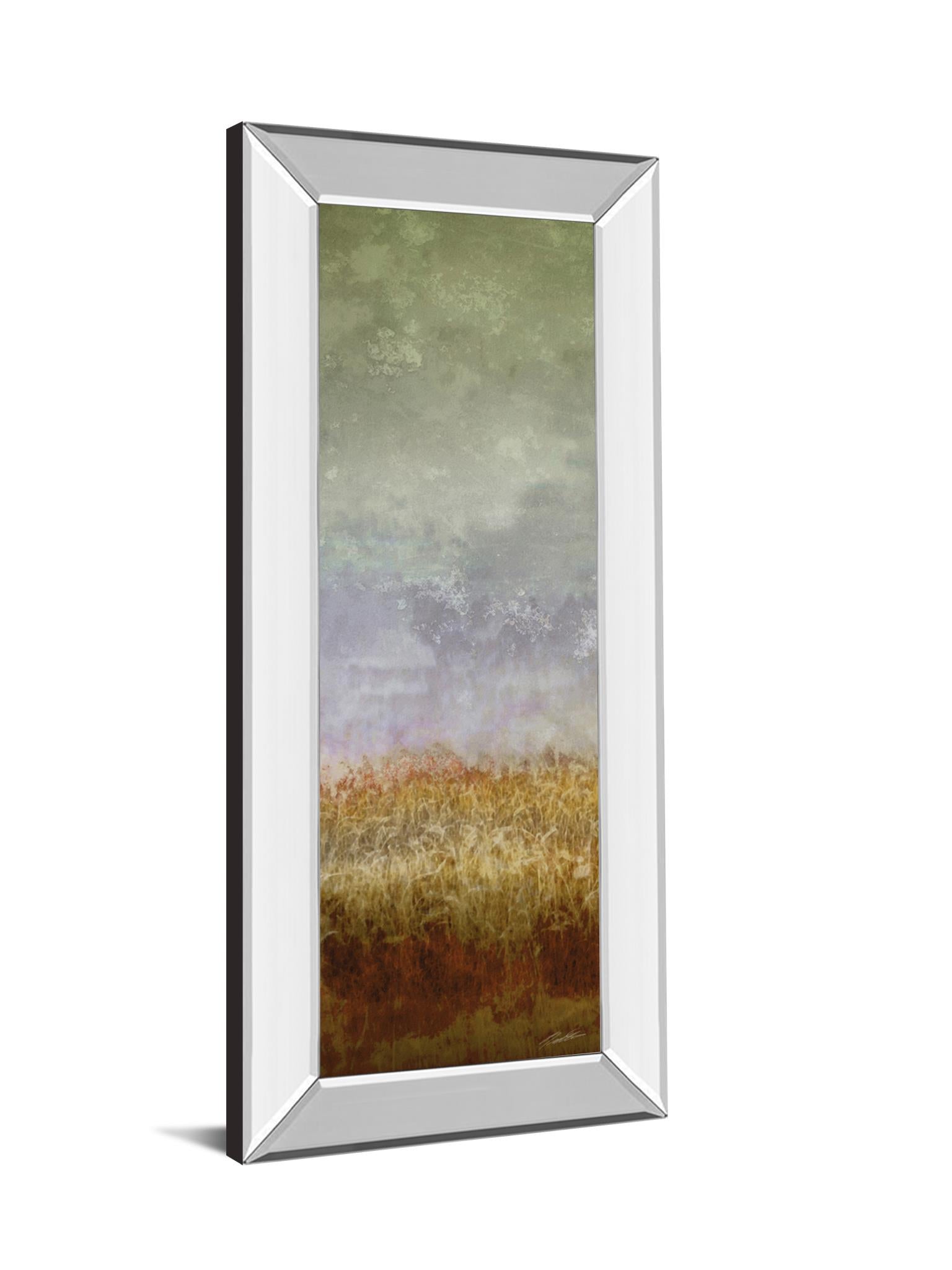 Mirrored Frame Lush Field Ii By John Butler 18X42 Mirror Frame Print
