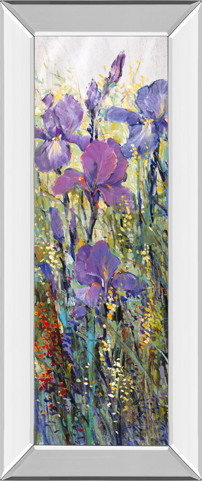 Mirrored Frame Iris Field I By Tim Otoole 18X42 Mirror Frame Print