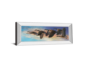Mirrored Frame Ascent By Carolyn Mock 18X42 Mirror Frame Print