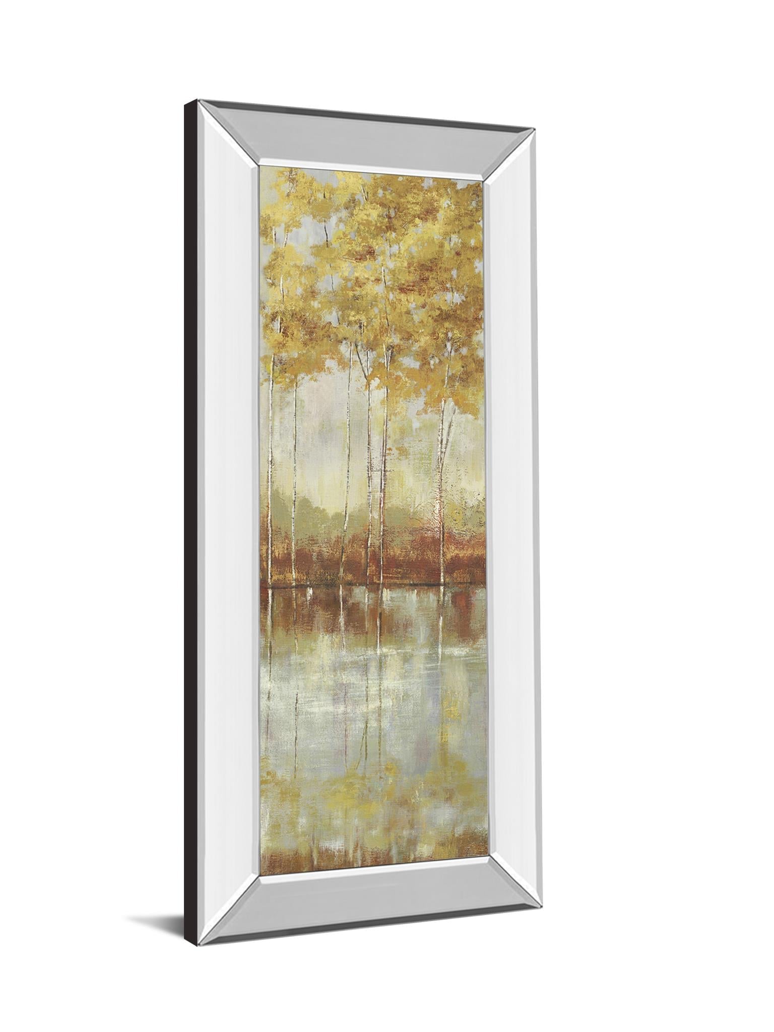 Mirrored Frame Reflections I By Allison Pearce 18X42 Mirror Frame Print