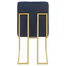 Cisco Velvet Upholstered Dining Side Chair Chrome (Set of 2)