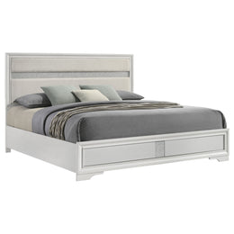 Miranda 51-inch Wood California King Storage Panel Bed Black