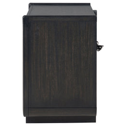 Leandro 2-drawer LED Nightstand with USB Burnished Black
