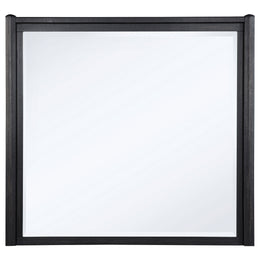 Leandro Dresser Mirror Burnished Black
