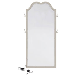 Evangeline Length LED Light Floor Mirror Silver Oak