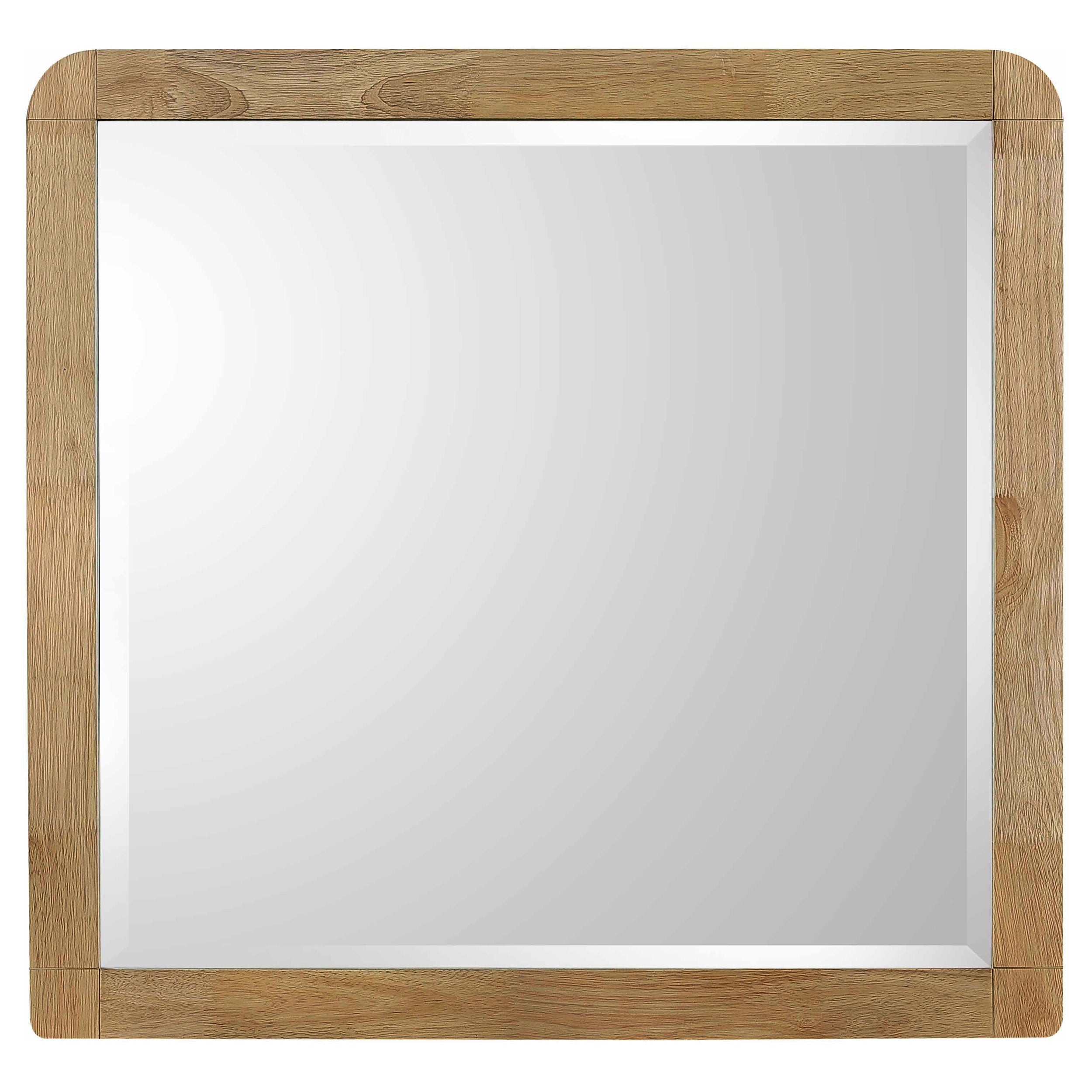 Robyn Dresser Mirror