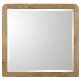 Robyn Dresser Mirror