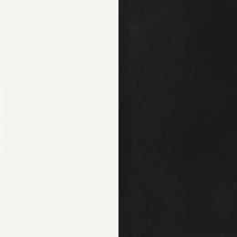 Retro Oval Dining Table Set White and Black