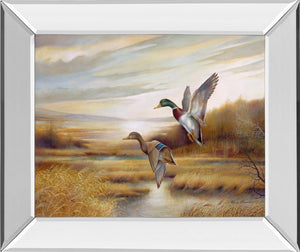 Mirrored Frame Promotional Line 22X26 22X26 Mirror Frame Print