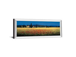 Tuscan Panorama-Poppies By David Short 18X42 Mirror Frame Print