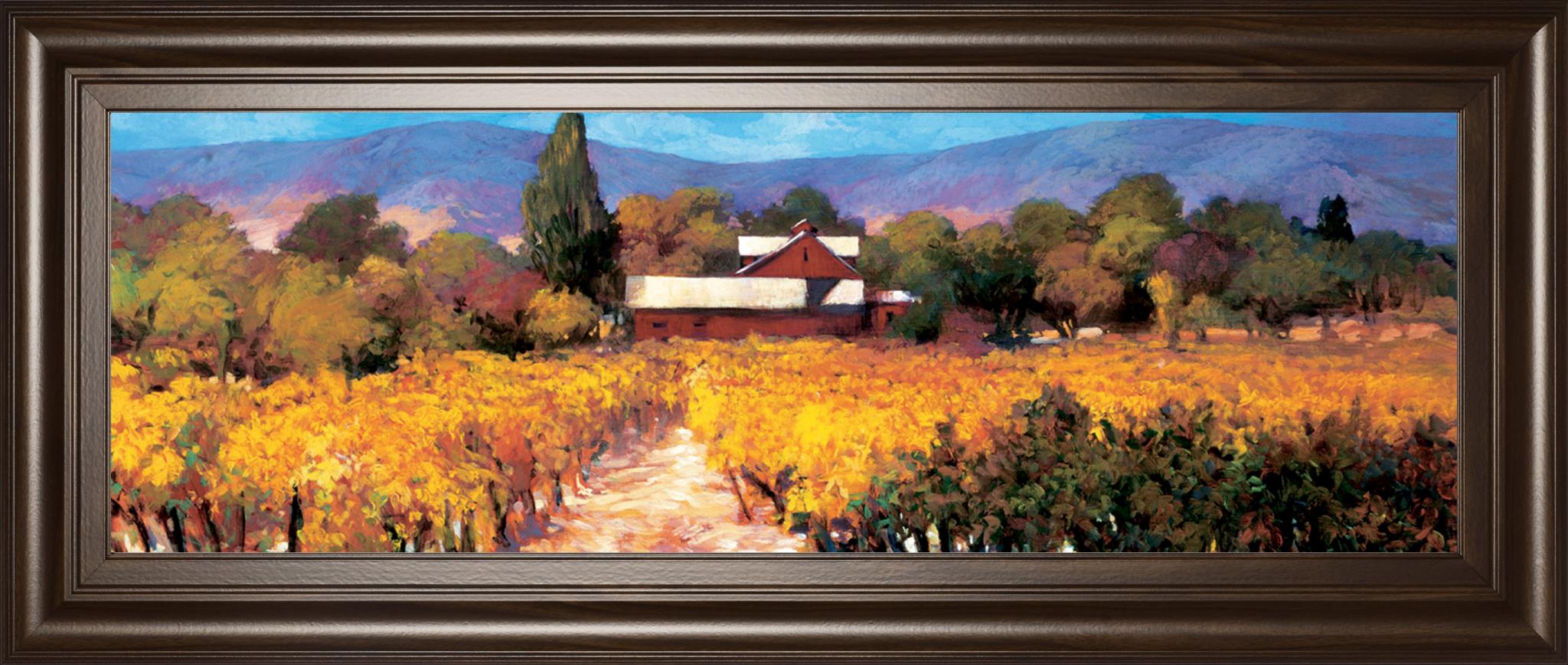 Vineyard Afternon By Craig, P. 18X42 Framed Print