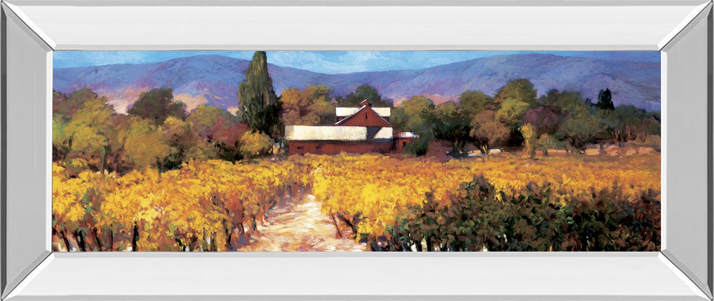 Vineyard Afternon By Craig, P. 18X42 Mirror Frame Print