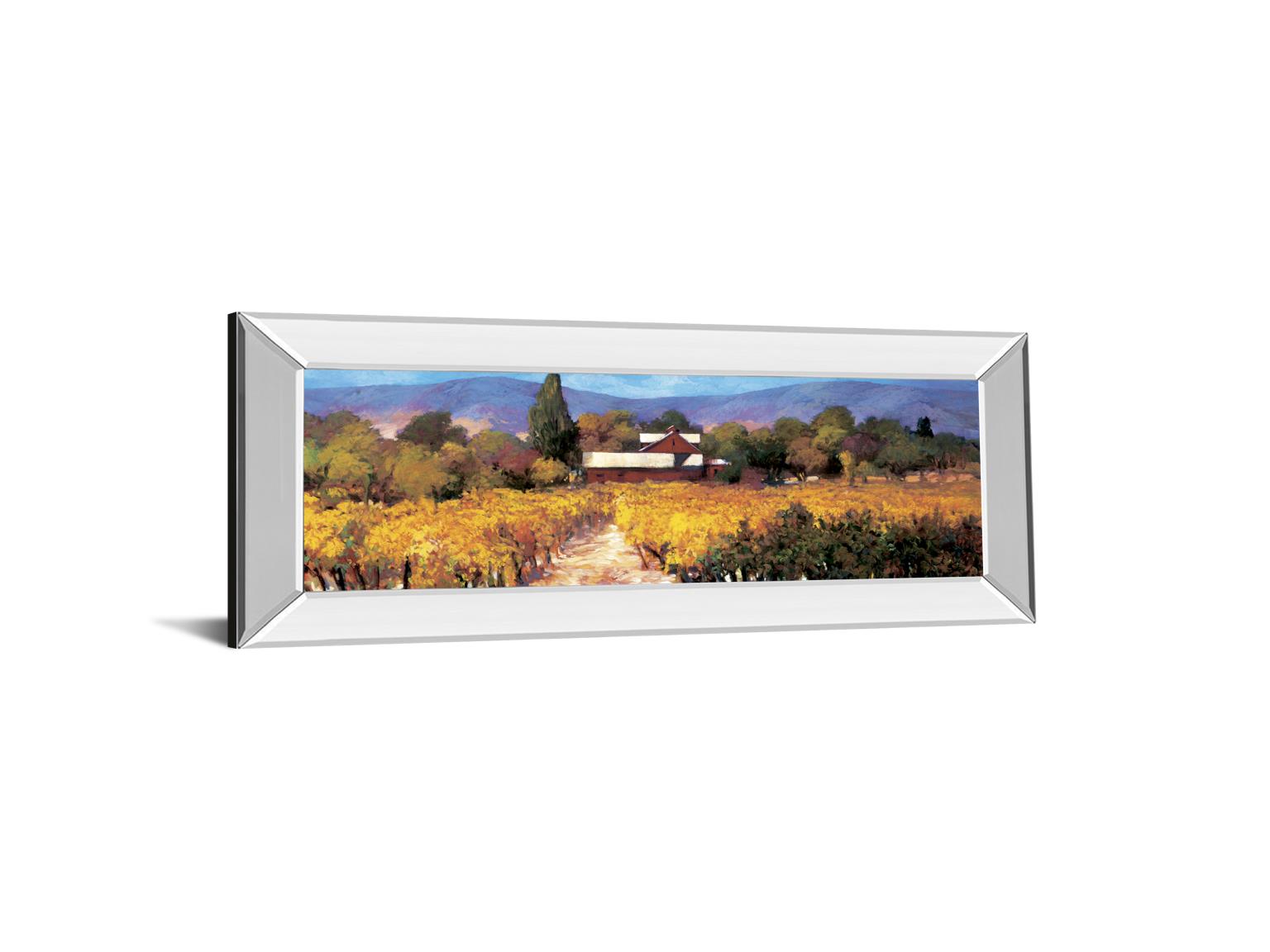 Vineyard Afternon By Craig, P. 18X42 Mirror Frame Print