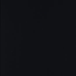 Littleton Wood Bunk Bed