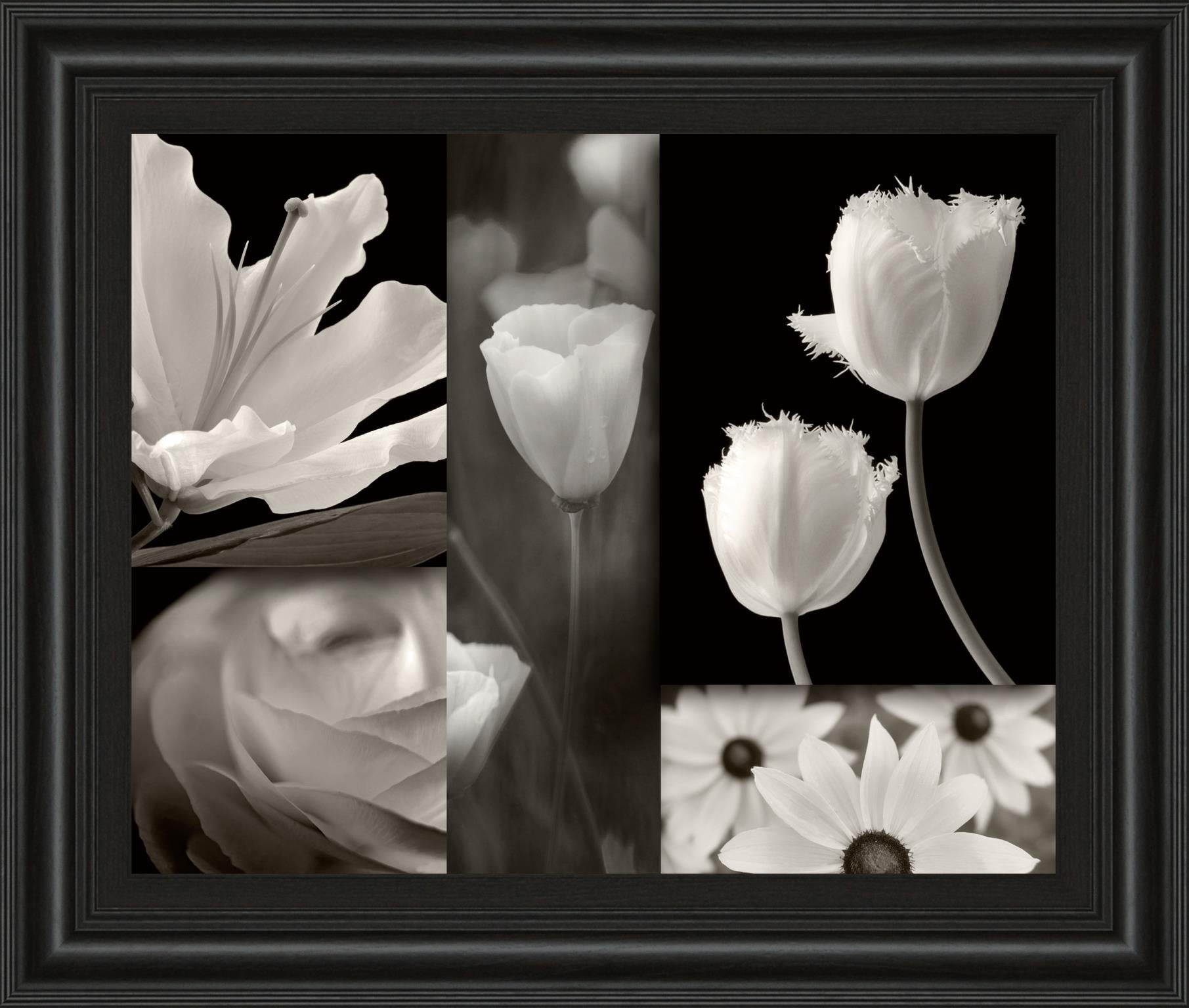 Summer Garden Ii By Dennis Frates 22X26 Framed Print