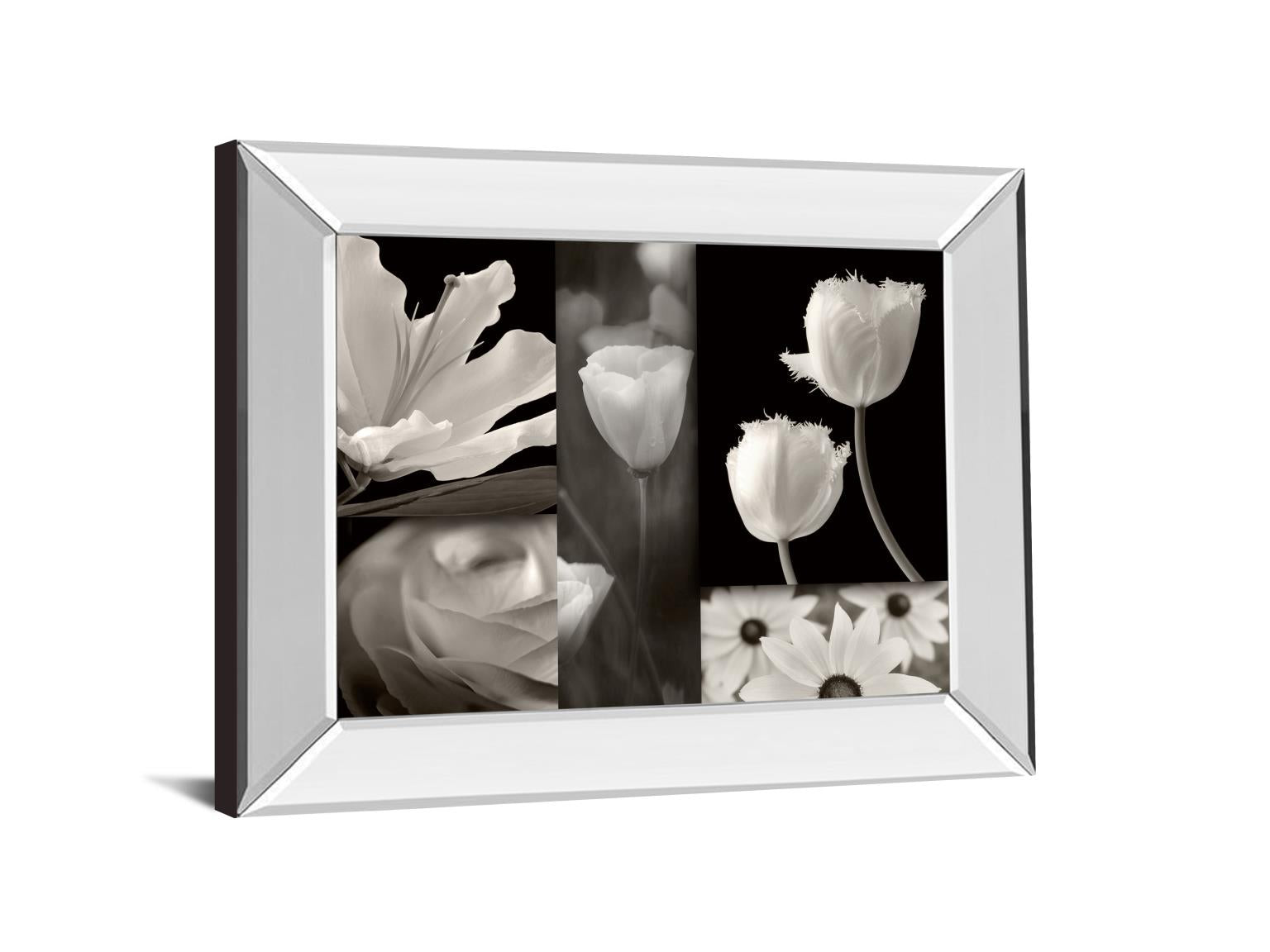 Mirrored Frame Summer Garden Ii By Dennis Frates 22X26 Mirror Frame Print