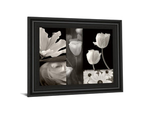 Summer Garden Ii By Dennis Frates 22X26 Framed Print