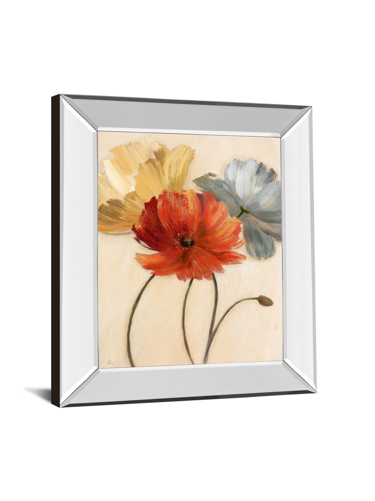 Mirrored Frame Poppy Palette I By Nan 22X26 Mirror Frame Print