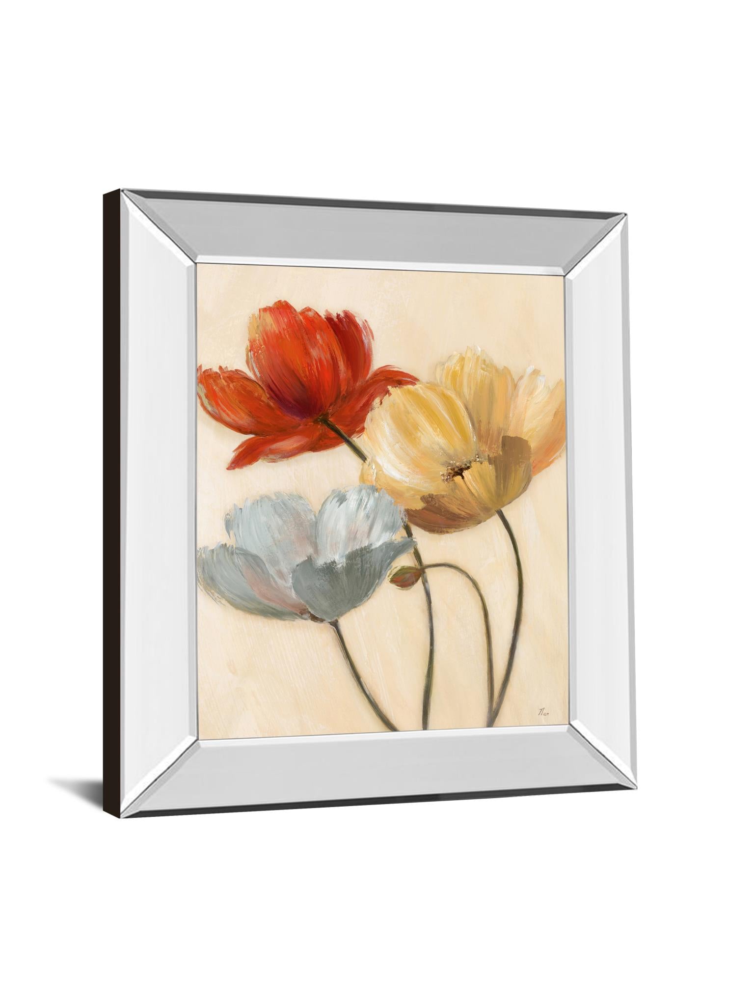 Mirrored Frame Poppy Palette Ii By Nan 22X26 Mirror Frame Print
