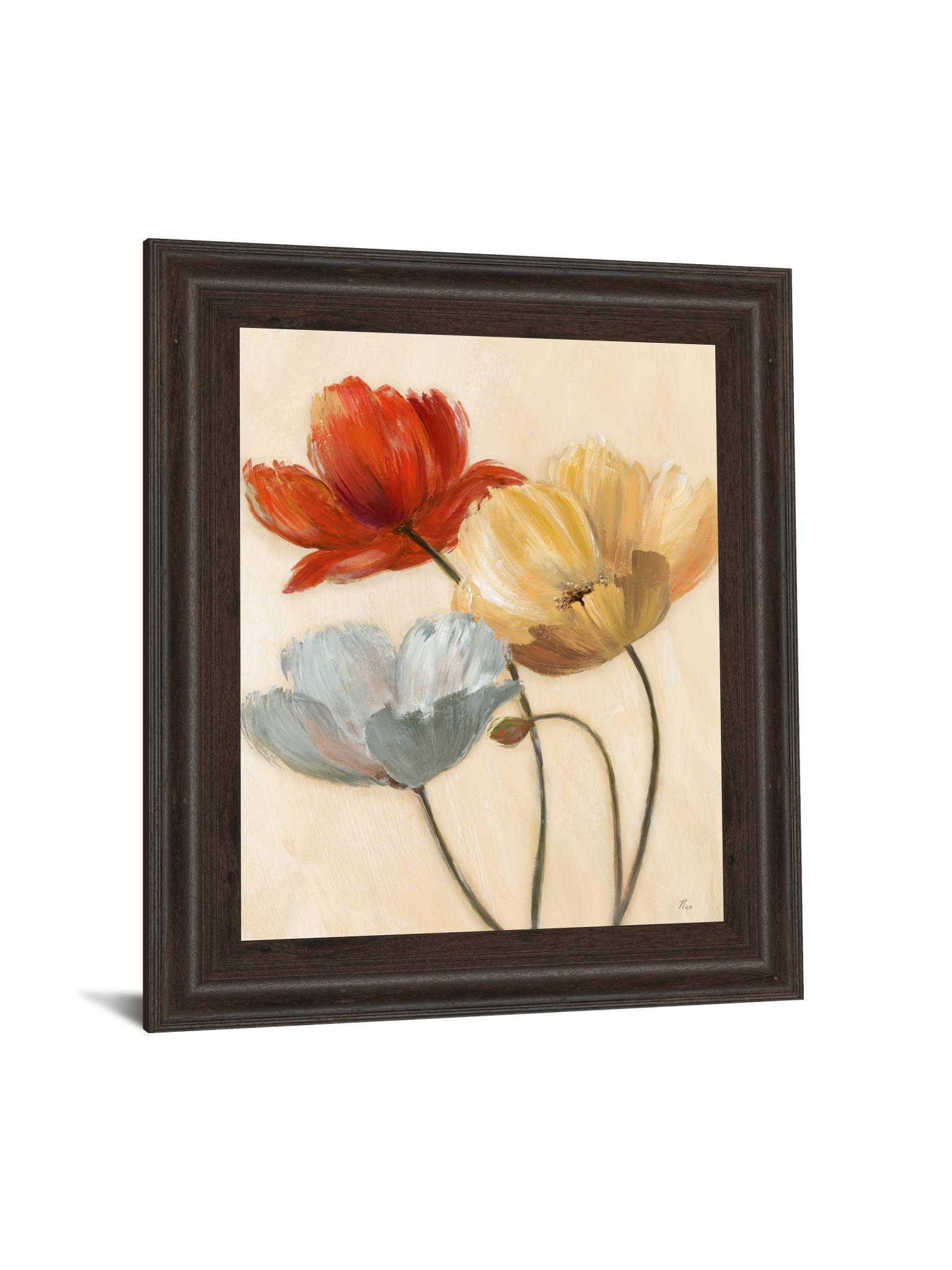 Poppy Palette Ii By Nan 22X26 Framed Print