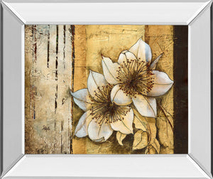 Mirrored Frame Exotic On Gold I By Patty Q 22X26 Mirror Frame Print