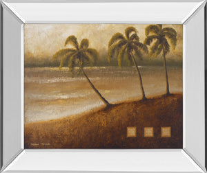 Mirrored Frame Tropical Escanadian Art Prints Inc.E Ii By Michael Marcon 22X26 Mirror Frame Print