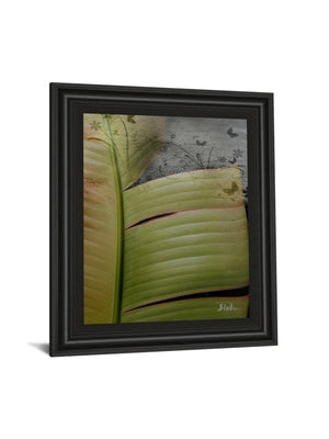 Butterfly Palm Ii By Patricia Pinto 22X26 Framed Print