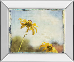Mirrored Frame Blackeyed Susan Ii By Meghan Mcsweeney 22X26 Mirror Frame Print