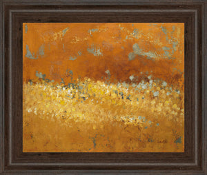 Flower Fields Ii By Lanie Loreth 22X26 Framed Print