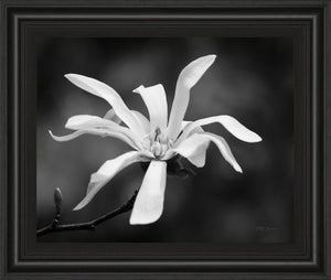 Magnolia Dreams I By Geyman Vitaly 22X26 Framed Print